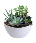 Semi-circle Wall-mounted Flower Pot